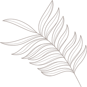 bg image